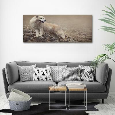 Foto schilderij op glas Witte wolf op een rots