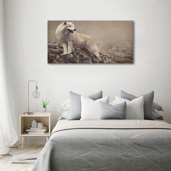 Foto schilderij op glas Witte wolf op een rots