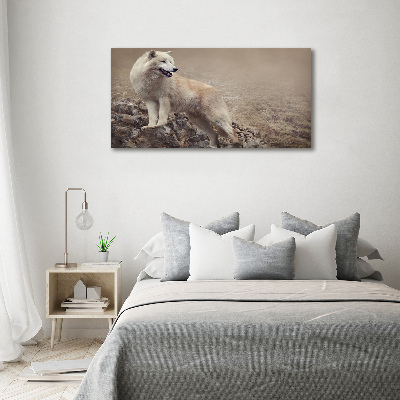 Foto schilderij op glas Witte wolf op een rots