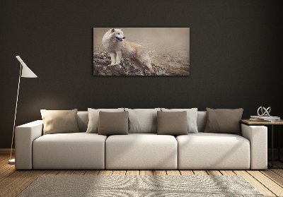 Foto schilderij op glas Witte wolf op een rots