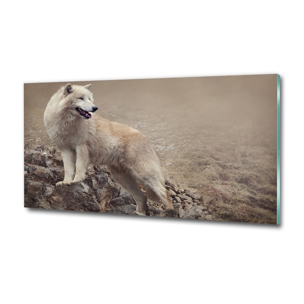 Foto schilderij op glas Witte wolf op een rots
