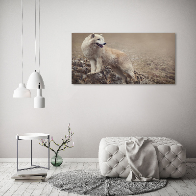 Foto schilderij op glas Witte wolf op een rots