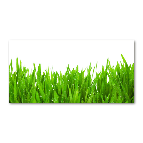 Glazen schilderij Gras