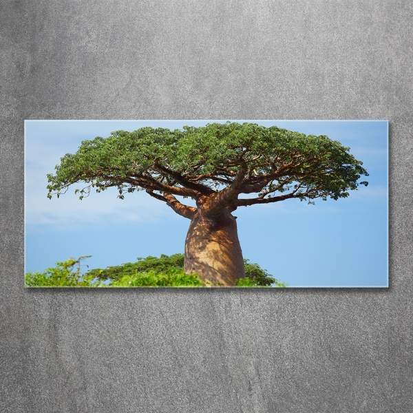 Foto obraz zdjęcie szkło hartowane Baobab