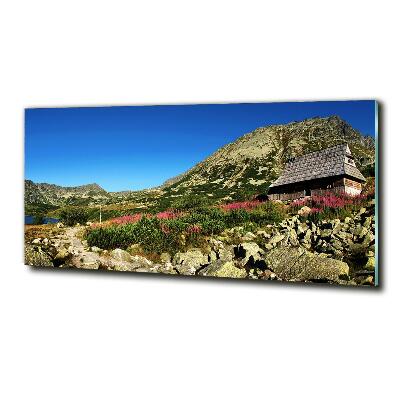 Foto schilderij op glas Herdershut in het dal