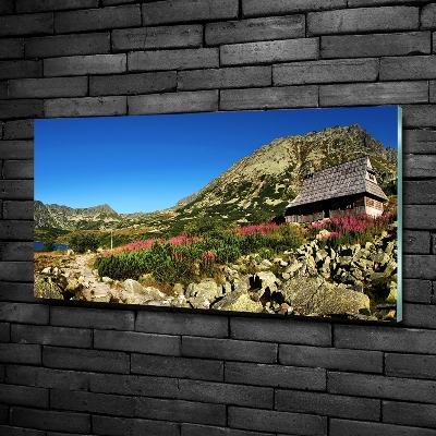 Foto schilderij op glas Herdershut in het dal