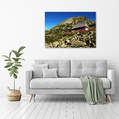 Foto schilderij op glas Herdershut in het dal