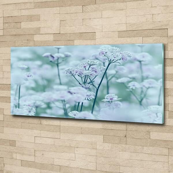 Glazen schilderij Grote mantelkruid