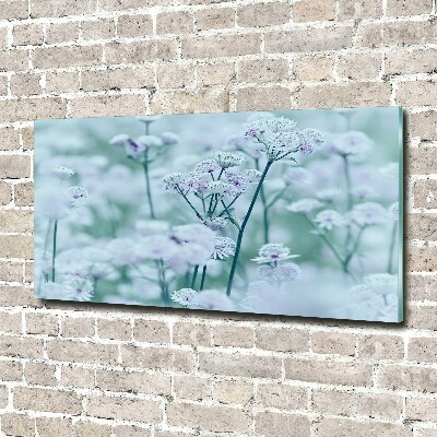 Glazen schilderij Grote mantelkruid