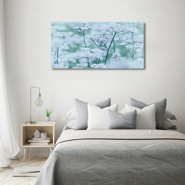 Glazen schilderij Grote mantelkruid