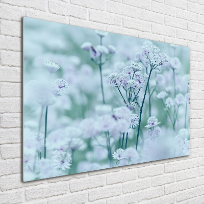 Glazen schilderij Grote mantelkruid