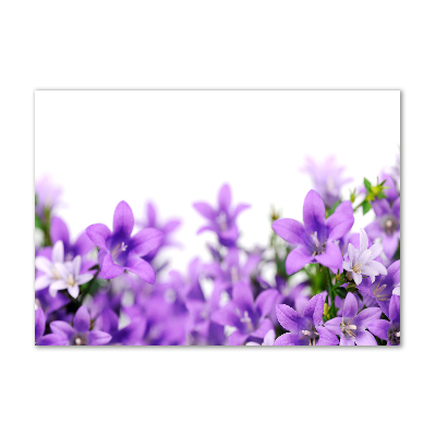 Foto schilderij op glas Paarse klokjes