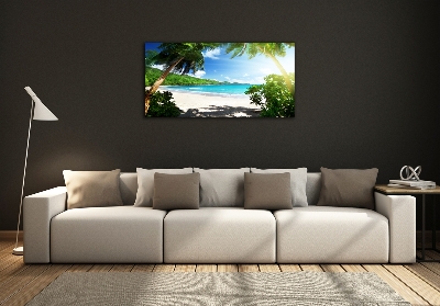 Schilderij op glas strand op de Seychellen