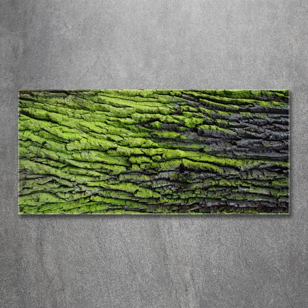 Schilderij op glas Boomschors