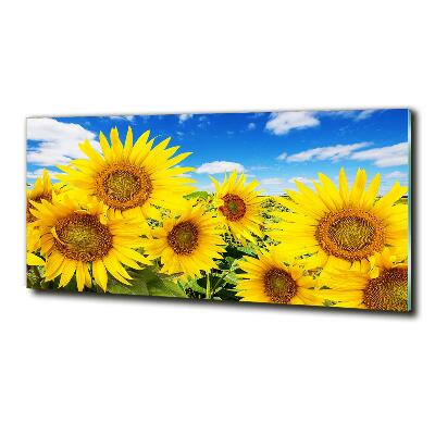 Foto obraz szkło hartowane Słoneczniki