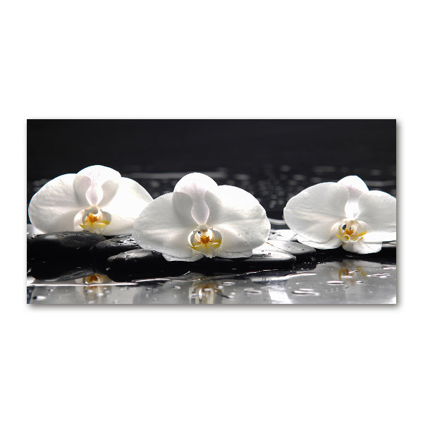 Glazen schilderij Orchidee
