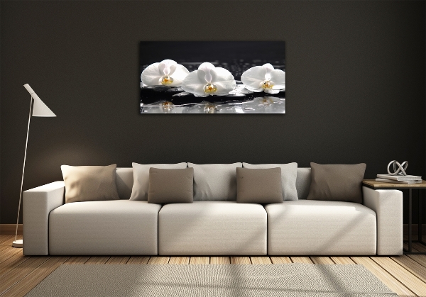 Glazen schilderij Orchidee