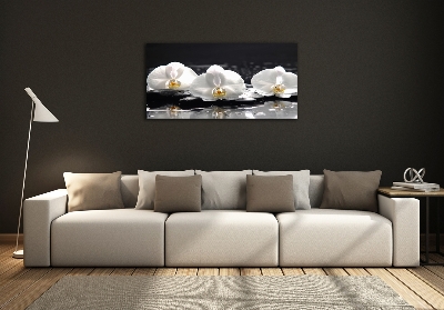 Glazen schilderij Orchidee