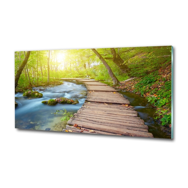 Glazen schilderij Pad in het bos