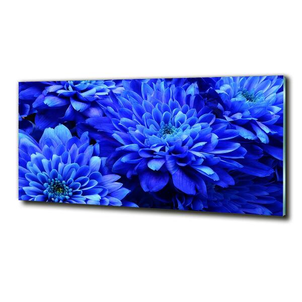 Foto schilderij op glas Blauwe aster