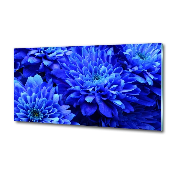 Foto schilderij op glas Blauwe aster