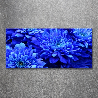 Foto schilderij op glas Blauwe aster