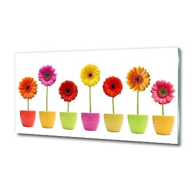 Schilderij op glas Kleurrijke gerbera's
