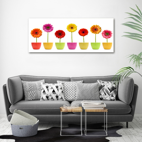Schilderij op glas Kleurrijke gerbera's