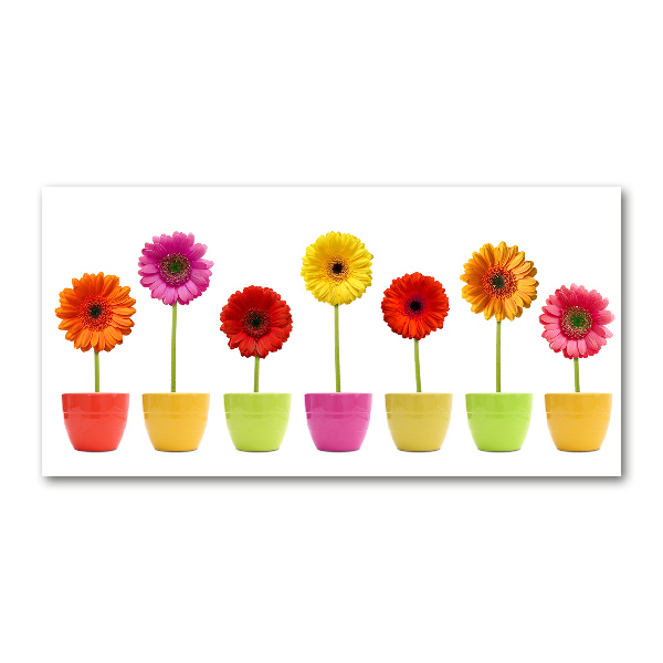 Schilderij op glas Kleurrijke gerbera's