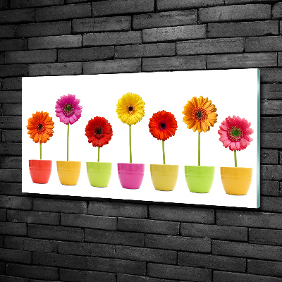 Schilderij op glas Kleurrijke gerbera's