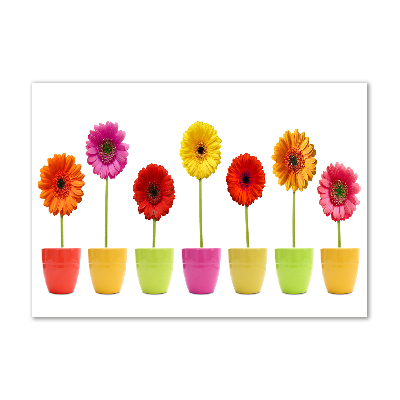 Schilderij op glas Kleurrijke gerbera's