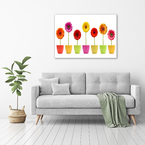 Schilderij op glas Kleurrijke gerbera's