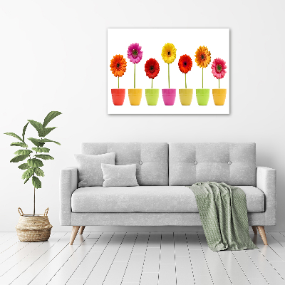 Schilderij op glas Kleurrijke gerbera's