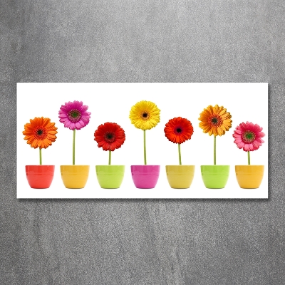 Schilderij op glas Kleurrijke gerbera's