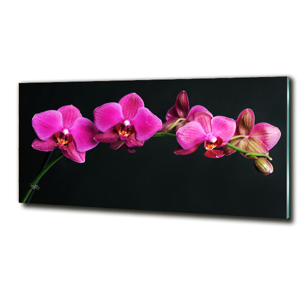Glazen schilderij Orchidee