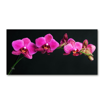 Glazen schilderij Orchidee