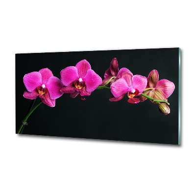 Glazen schilderij Orchidee