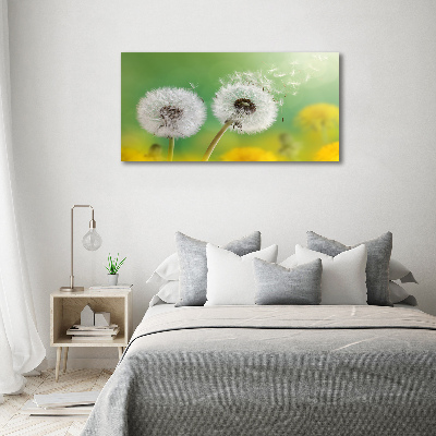 Schilderij op glas Paardenbloemen