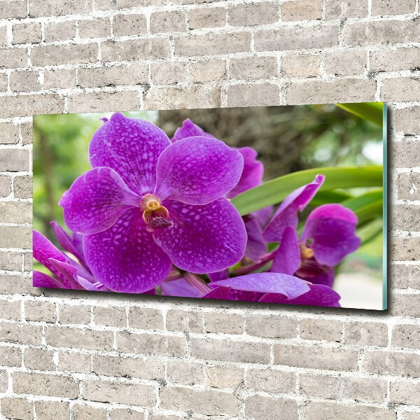 Schilderij glas Orchidee