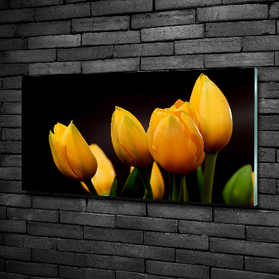 Schilderij op glas Gele tulpen