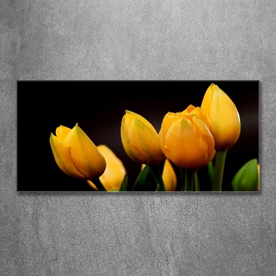 Schilderij op glas Gele tulpen