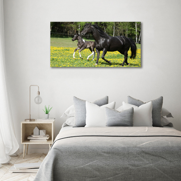 Schilderij op glas Merrie met veulen