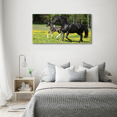 Schilderij op glas Merrie met veulen