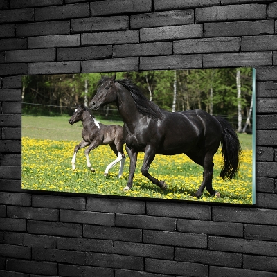 Schilderij op glas Merrie met veulen