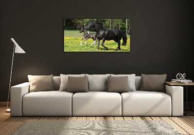 Schilderij op glas Merrie met veulen