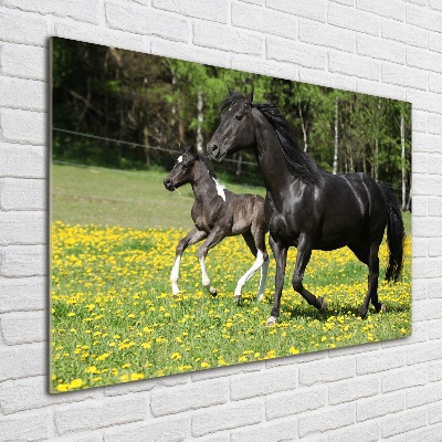Schilderij op glas Merrie met veulen