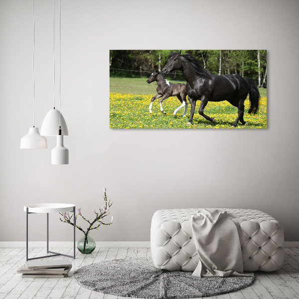 Schilderij op glas Merrie met veulen