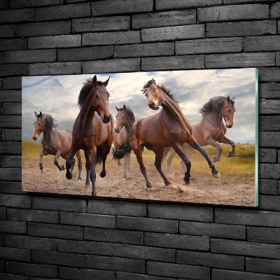 Foto-obraz szkło hartowane Pięć koni