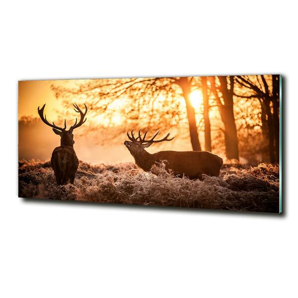Schilderij op glas Herten zonsopgang