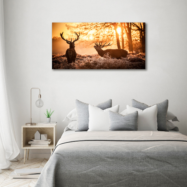 Schilderij op glas Herten zonsopgang